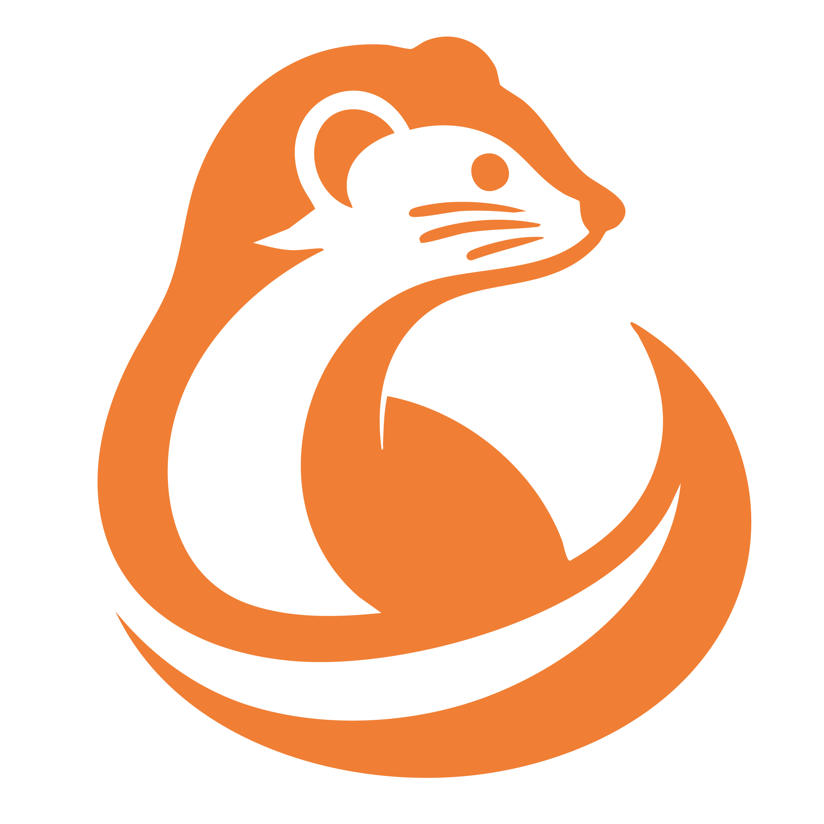 Weasel Web Logo